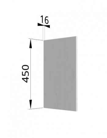Панель торцевая (для шкафа горизонтального высокого) ВПГ Ройс (Графит софт) в Шипуново - shipunovo.mebel54.com | фото
